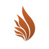 The Verge Clinic Dental LLC SPC